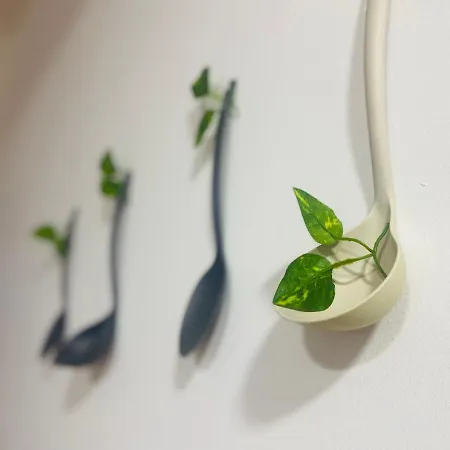 Appartement A Tixola ,casco Historico