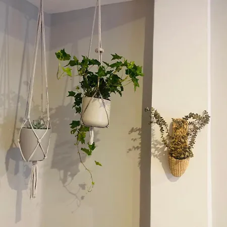 Appartement A Tixola ,casco Historico