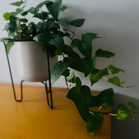 A Tixola ,casco Historico * Comarca de Pontevedra