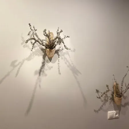 A Tixola ,casco Historico شقة بونتيفيذرا