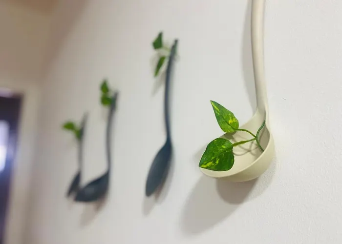 Apartment A Tixola ,casco Historico