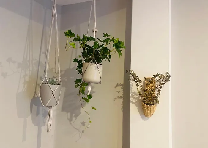 Apartment A Tixola ,casco Historico