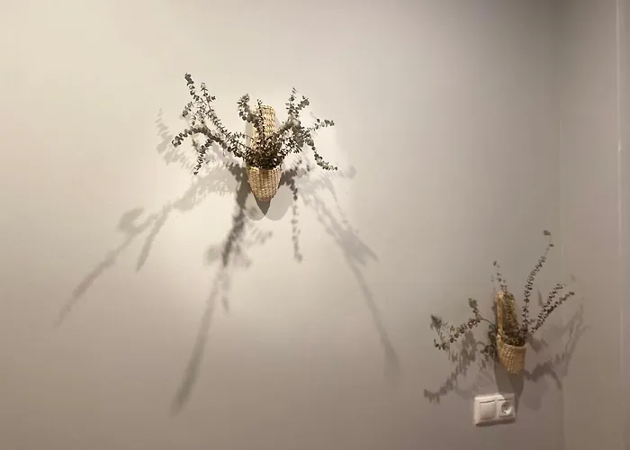 A Tixola ,casco Historico Apartment Pontevedra