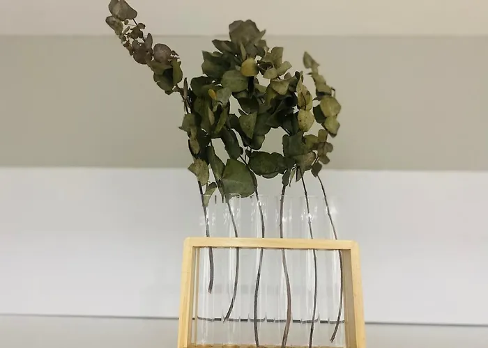 A Tixola ,casco Historico * Pontevedra